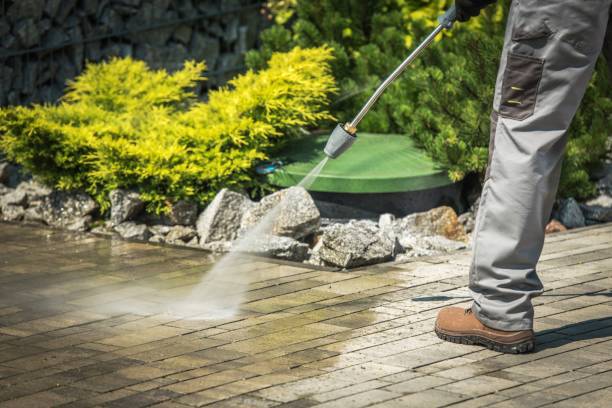 Best Sidewalk and Walkway Pressure Cleaning in Olean, NY
